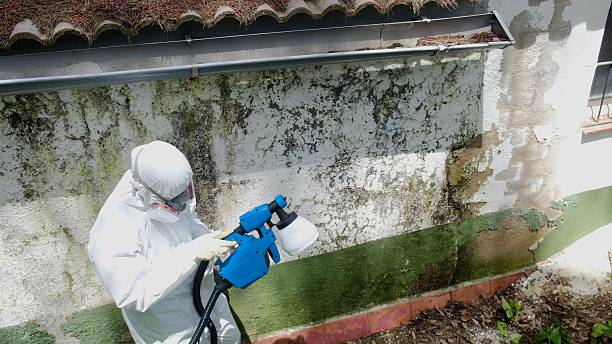 Top rated local Mold Remediation specialists in Garden City, GA